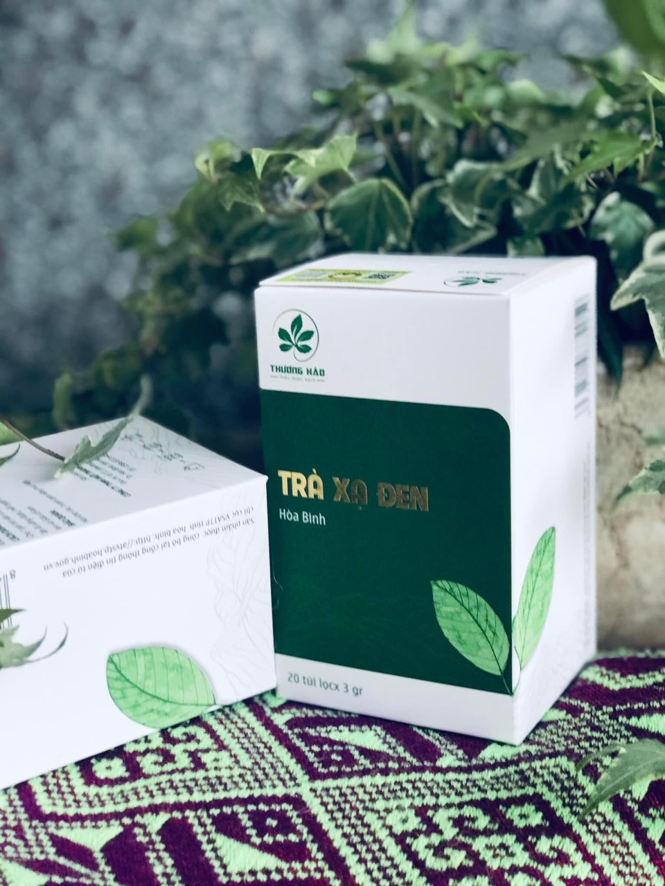 trà túi lọc xạ đen thương hảo